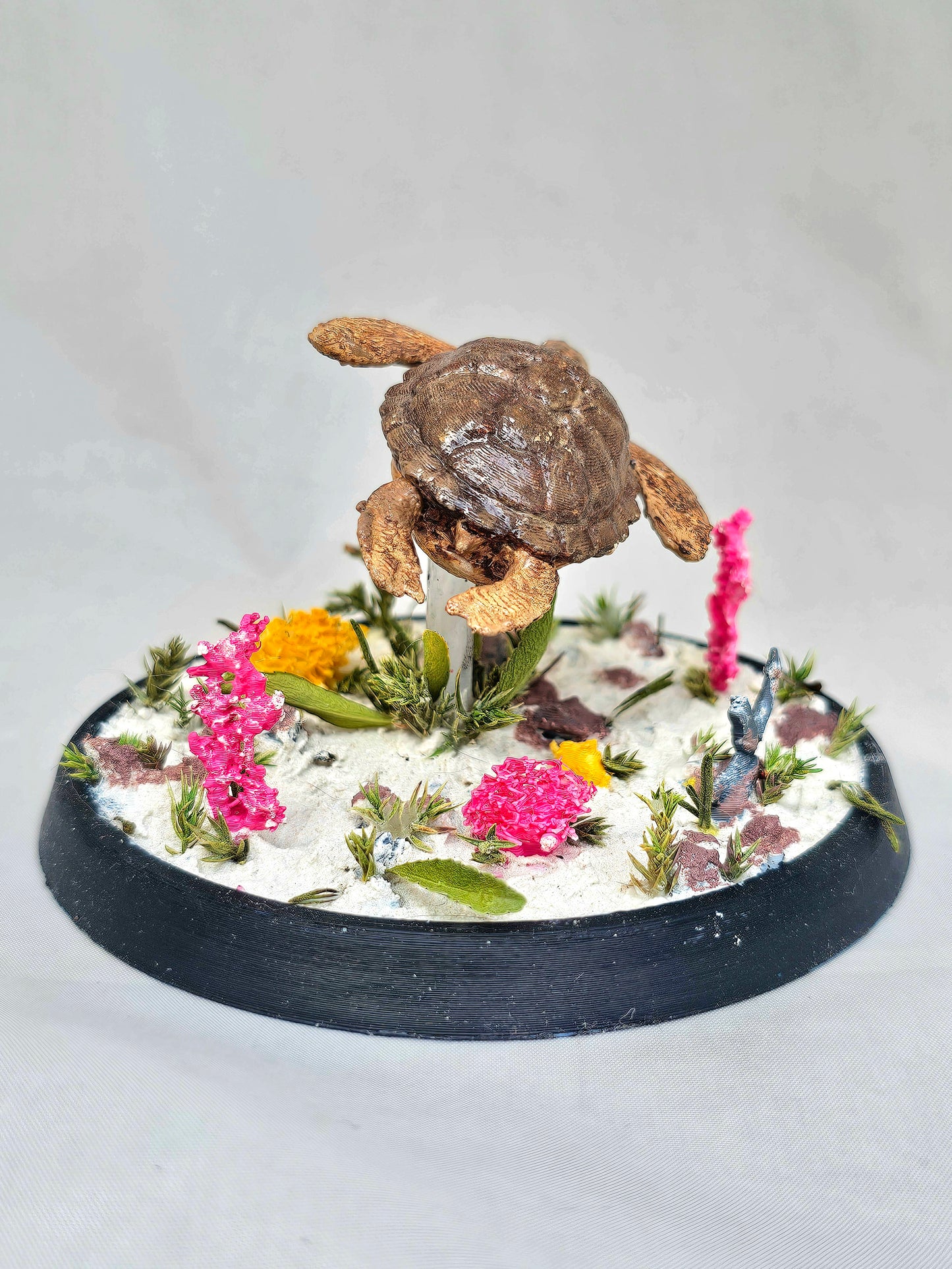 Sea Turtle