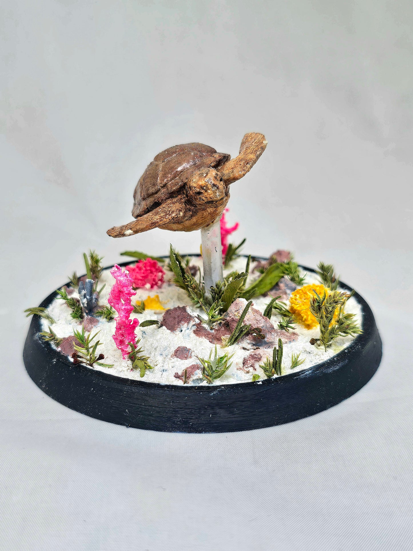 Sea Turtle