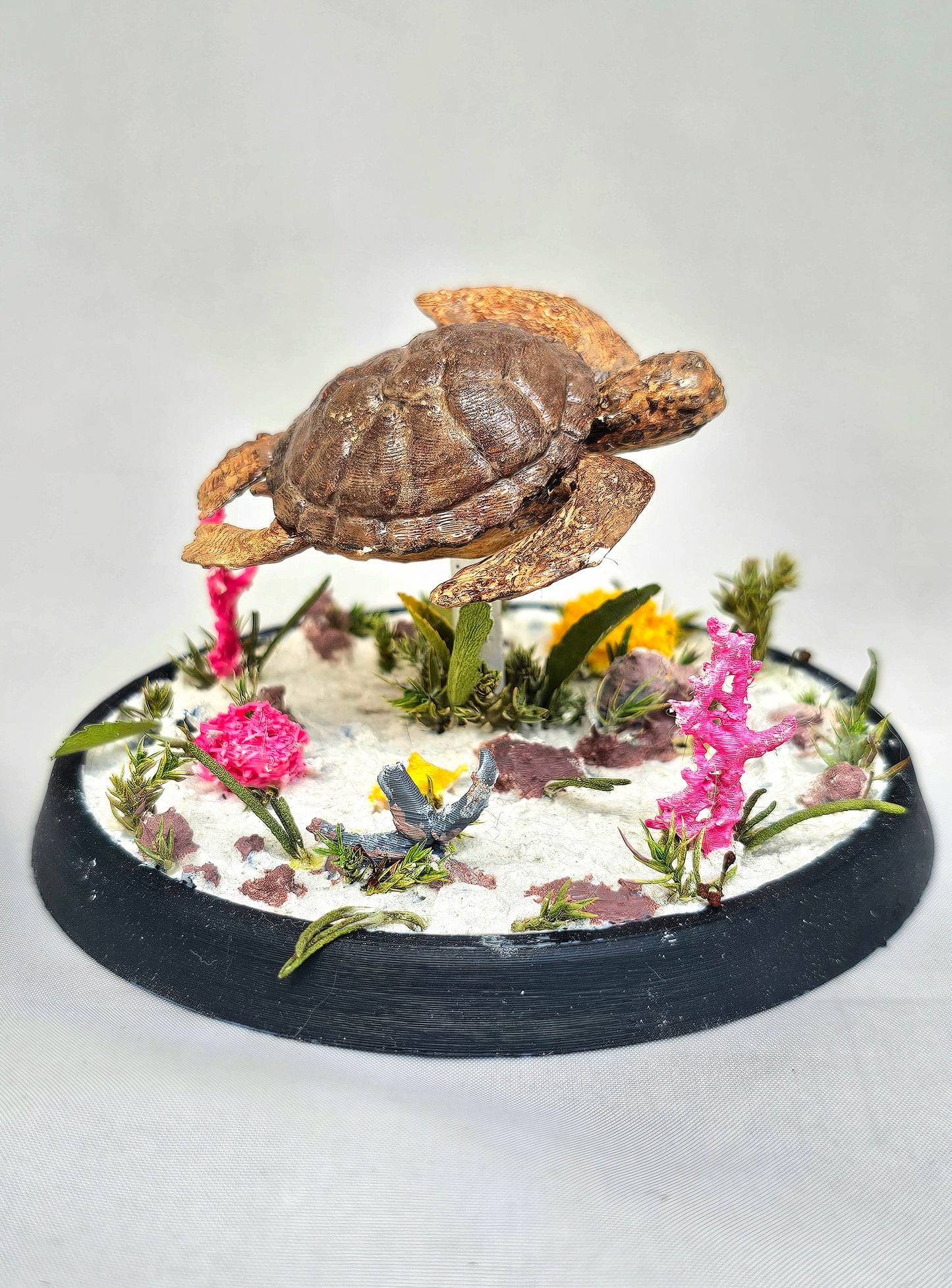 Sea Turtle